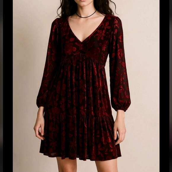 Taylor Dresses & Skirts - Taylor Red Velvet Burnout Dress Size Small  Whimsigoth Fairy Witchy Y2k Grunge